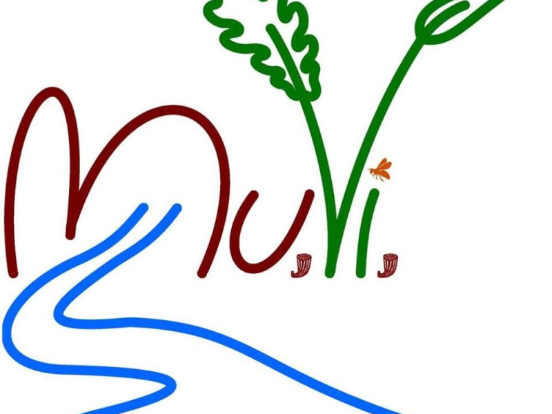 logo logo