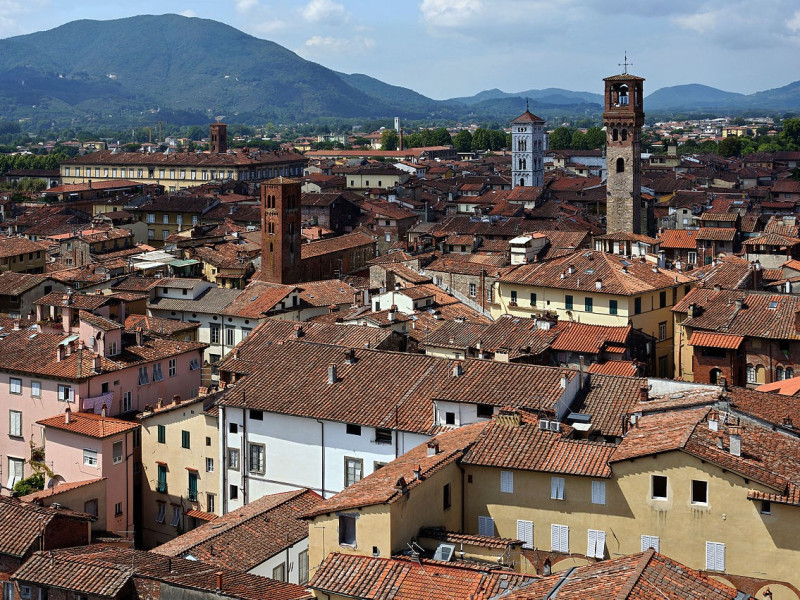 Immagine descrittiva - CC BY-SA Di Photo: Myrabella / Wikimedia Commons, CC BY-SA 3.0, https://commons.wikimedia.org/w/index.php?curid=19521950 Immagine descrittiva - CC BY-SA Di Photo: Myrabella / Wikimedia Commons, CC BY-SA 3.0, https://commons.wikimedia.org/w/index.php?curid=19521950