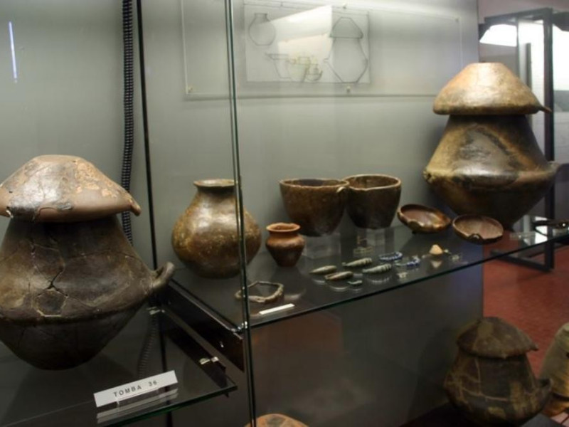 Budrio, Museo Civico Archeologico e Paleoambientale "E. Silvestri" Budrio, Museo Civico Archeologico e Paleoambientale "E. Silvestri"