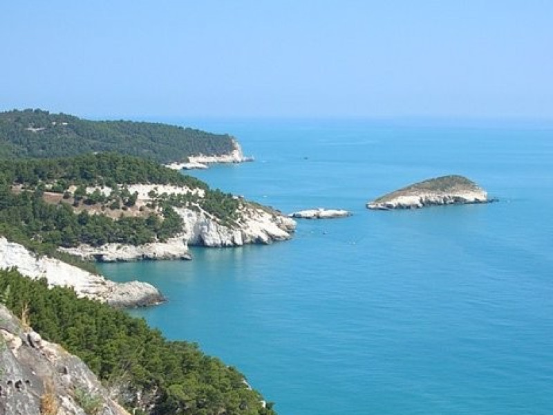 Immagine descrittiva - CC BY-SA Di Nessun autore leggibile automaticamente. Idéfix~commonswiki presunto (secondo quanto affermano i diritti d'autore). - Nessuna fonte leggibile automaticamente. Presunta opera propria (secondo quanto affermano i diritti d'autore)., CC BY-SA 3.0, https://commons.wikimedia.org/w/index.php?curid=518454 Immagine descrittiva - CC BY-SA Di Nessun autore leggibile automaticamente. Idéfix~commonswiki presunto (secondo quanto affermano i diritti d'autore). - Nessuna fonte leggibile automaticamente. Presunta opera propria (secondo quanto affermano i diritti d'autore)., CC BY-SA 3.0, https://commons.wikimedia.org/w/index.php?curid=518454