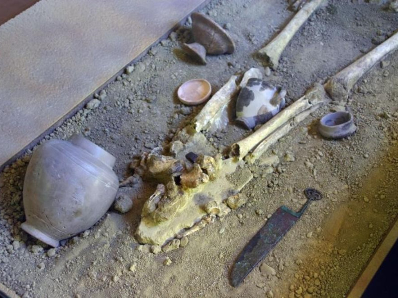 Budrio, Museo Civico Archeologico e Paleoambientale "E. Silvestri" Budrio, Museo Civico Archeologico e Paleoambientale "E. Silvestri"