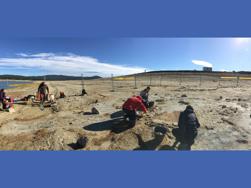 Immagine descrittiva - BY Lo Celso Immagine descrittiva - BY Lo Celso