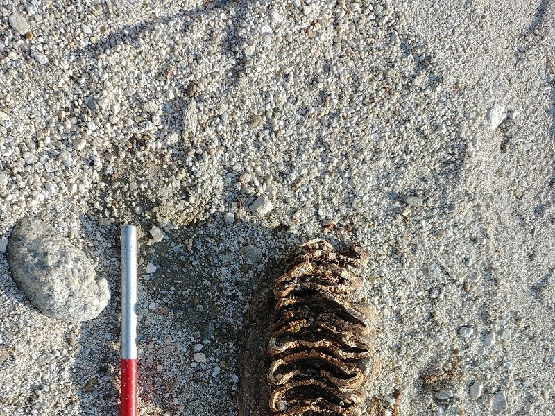 Immagine descrittiva - BY Lo Celso Immagine descrittiva - BY Lo Celso