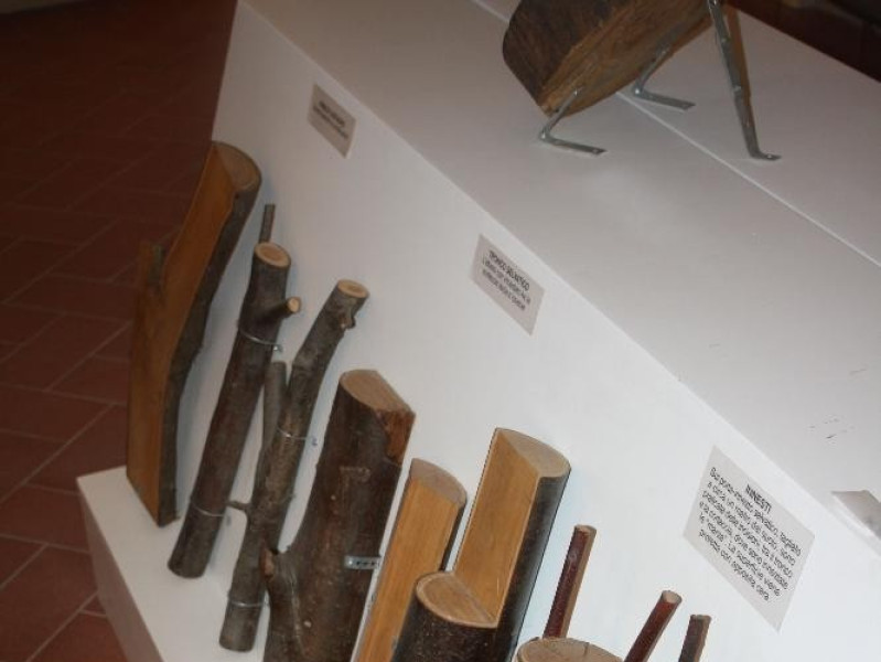 Castel del Rio, Museo del Castagno Castel del Rio, Museo del Castagno