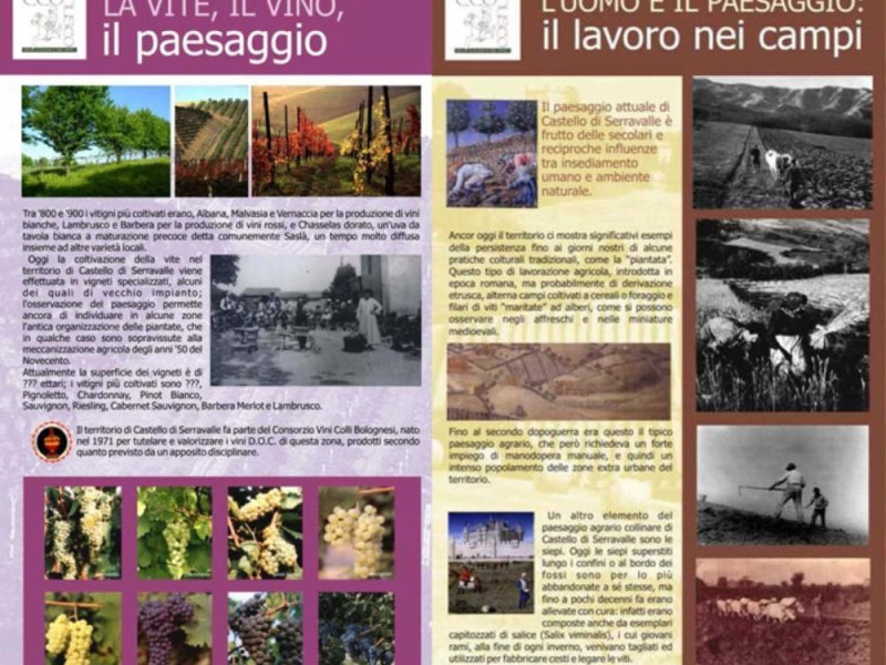 Castello di Serravalle, Ecomuseo della Collina e del Vino Castello di Serravalle, Ecomuseo della Collina e del Vino