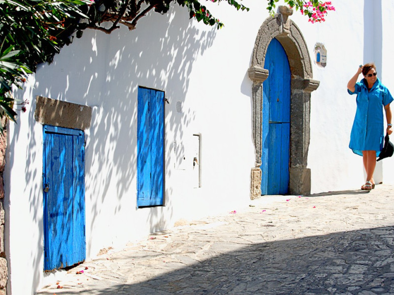 Immagine descrittiva - CC BY Di Fabrizio Rossini from Sesto San Giovanni (www.fabriziorossini.it) - MyBlue, CC BY 2.0, https://commons.wikimedia.org/w/index.php?curid=19248727