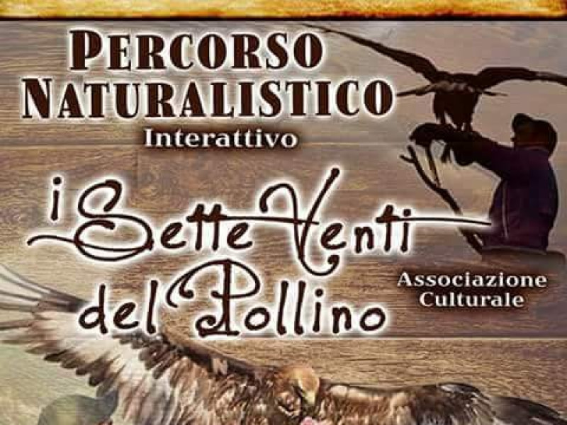 Immagine descrittiva -  Immagine descrittiva -