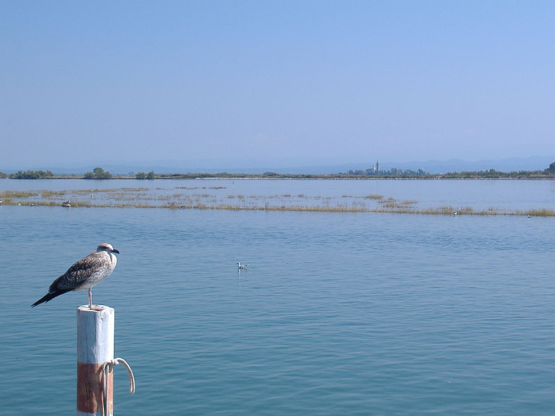 Immagine descrittiva - CC BY-SA Di F.giusto - Opera propria, CC BY-SA 3.0, https://commons.wikimedia.org/w/index.php?curid=4747755