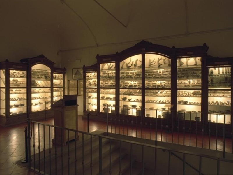 Imola, Museo di San Domenico Imola, Museo di San Domenico