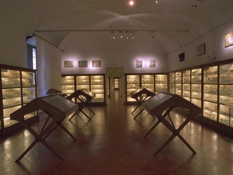 Imola, Museo di San Domenico Imola, Museo di San Domenico