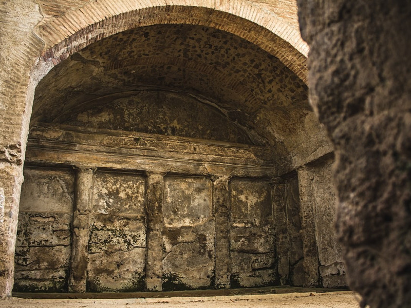Immagine descrittiva - CC BY-SA By Elisa Prisco - Own work, CC BY-SA 4.0, https://commons.wikimedia.org/w/index.php?curid=51960102 Immagine descrittiva - CC BY-SA By Elisa Prisco - Own work, CC BY-SA 4.0, https://commons.wikimedia.org/w/index.php?curid=51960102