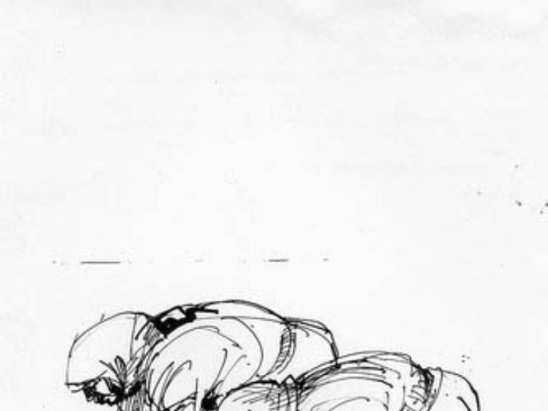 Medicina, Museo Civico