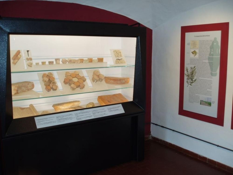 San Giovanni in Persiceto, Museo Archeologico Ambientale