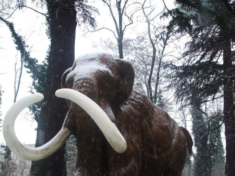San Lazzaro di Savena, Museo della Preistoria "Luigi Donini"