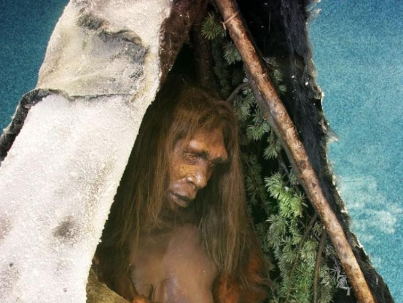 San Lazzaro di Savena, Museo della Preistoria "Luigi Donini"