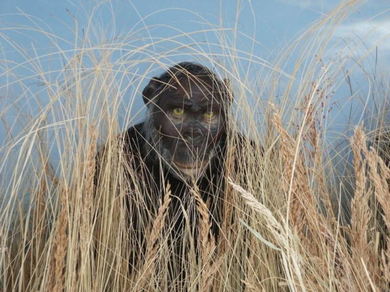 San Lazzaro di Savena, Museo della Preistoria "Luigi Donini"
