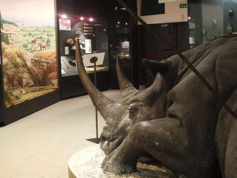 San Lazzaro di Savena, Museo della Preistoria "Luigi Donini"