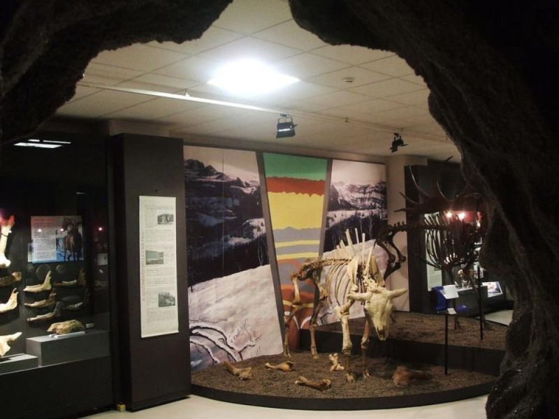 San Lazzaro di Savena, Museo della Preistoria "Luigi Donini"