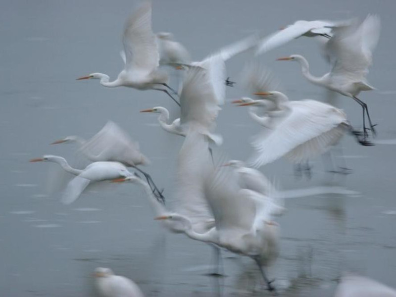 Ecomuseo delle Valli