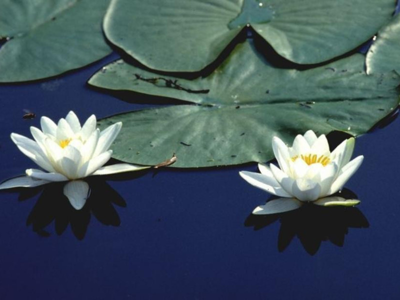 Ecomuseo delle Valli