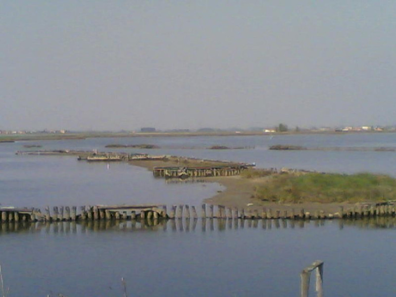 Valli di Comacchio Valli di Comacchio