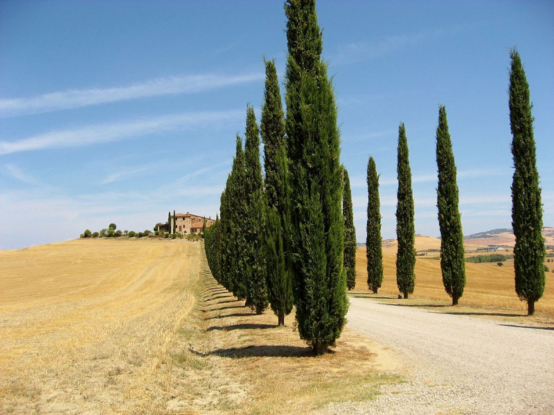 Val d'Orcia - paesaggio toscano Val d'Orcia - paesaggio toscano