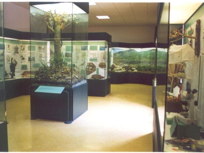 Ferrara, Museo Civico di Storia Naturale