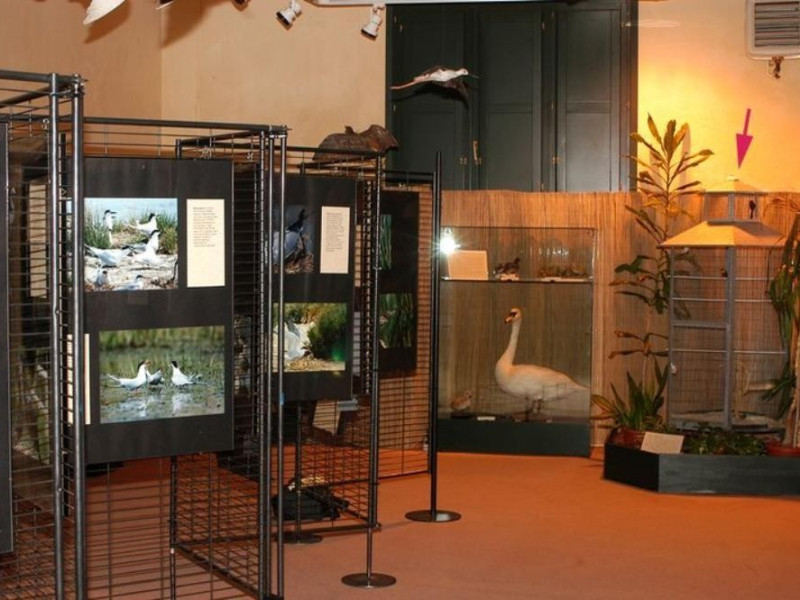 Ferrara, Museo Civico di Storia Naturale