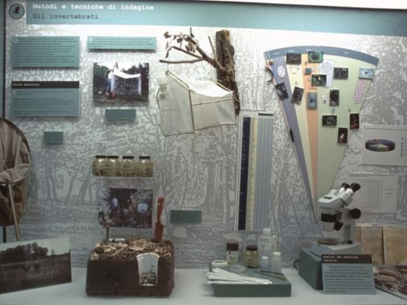 Ferrara, Museo Civico di Storia Naturale