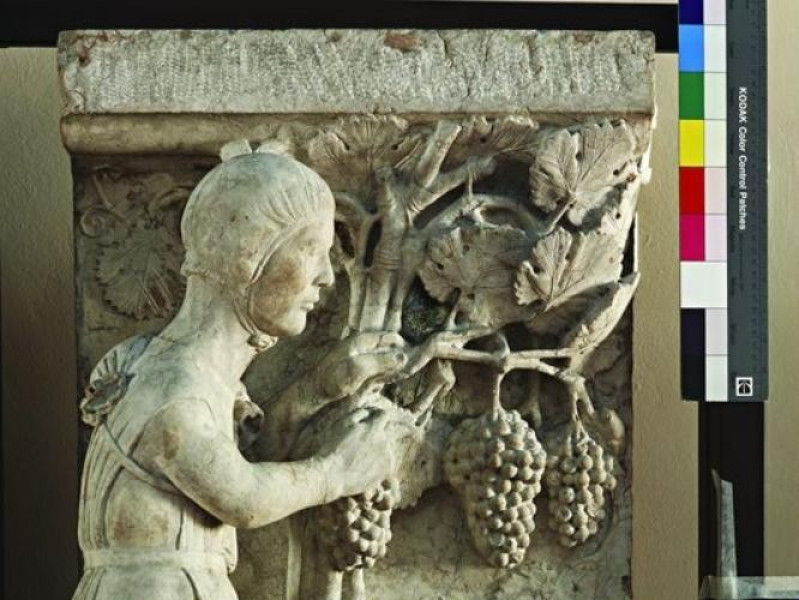 Ferrara, Museo della Cattedrale