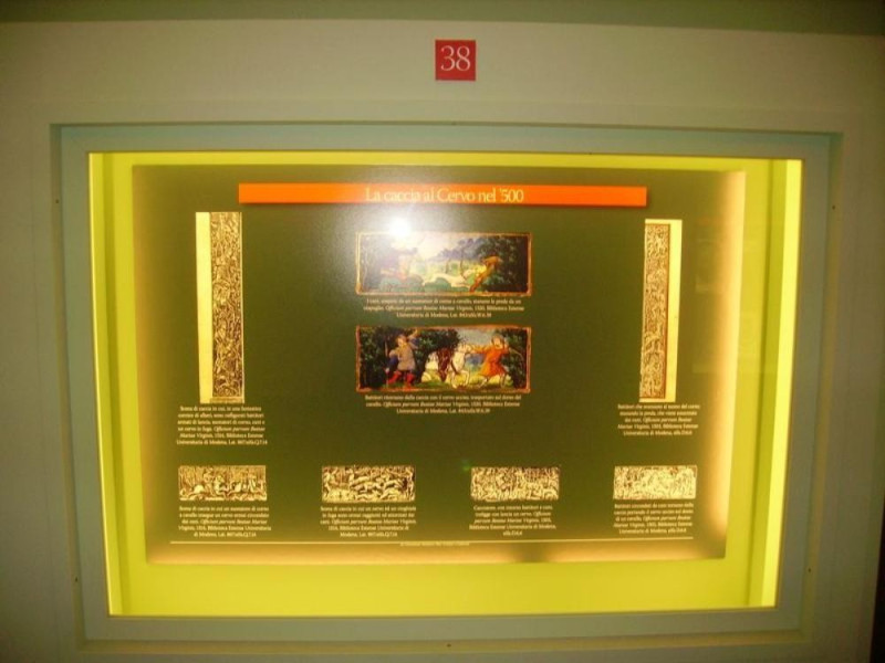 Mesola, Museo del Bosco e del Cervo della Mesola Mesola, Museo del Bosco e del Cervo della Mesola