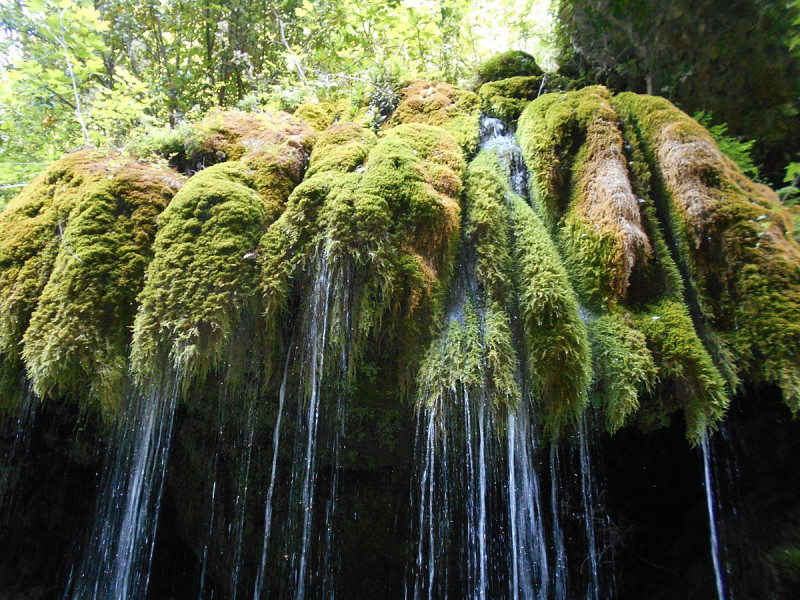 Cascata "Capelli di Venere" Cascata "Capelli di Venere"
