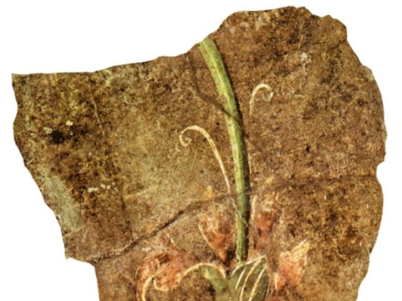 Russi, Villa Romana di Russi