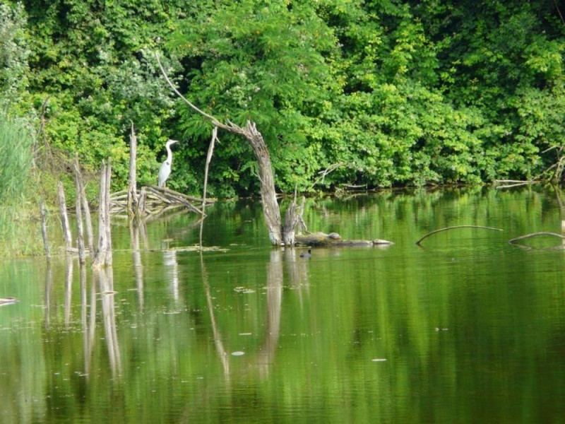Casa Museo Vincenzo Monti Casa Museo Vincenzo Monti