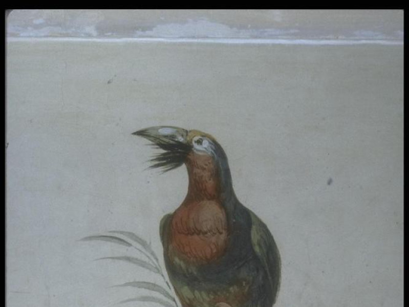 Bagnacavallo, Teatro Carlo Goldoni