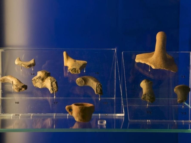 Bagnara di Romagna, Museo del Castello Bagnara di Romagna, Museo del Castello