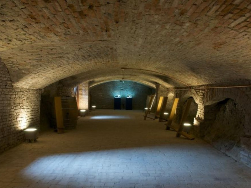 Bagnara di Romagna, Museo del Castello Bagnara di Romagna, Museo del Castello