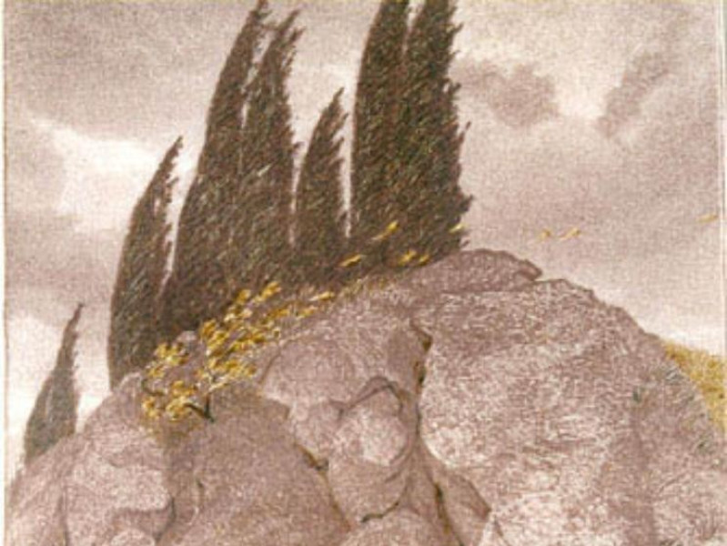 Brisighella, Museo Civico "G. Ugonia" Brisighella, Museo Civico "G. Ugonia"