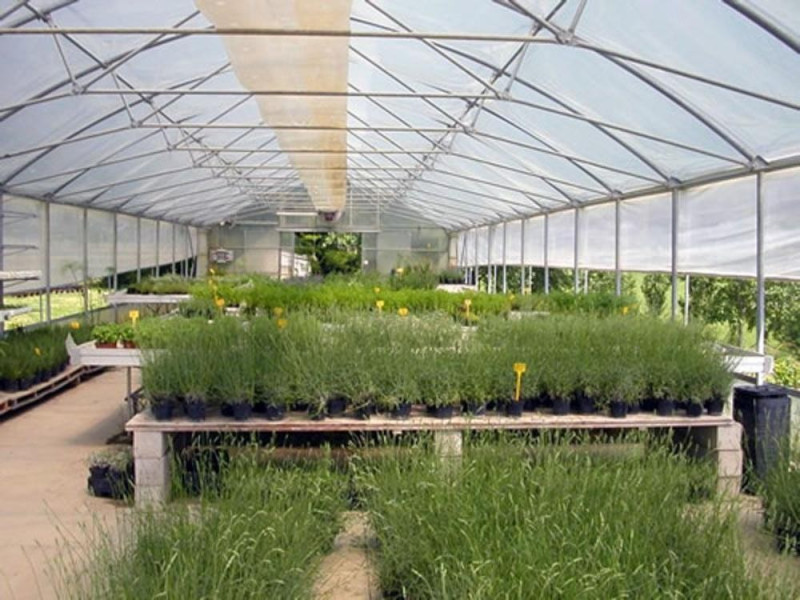 Casola Valsenio, Giardino delle Erbe "A. Rinaldi Ceroni"