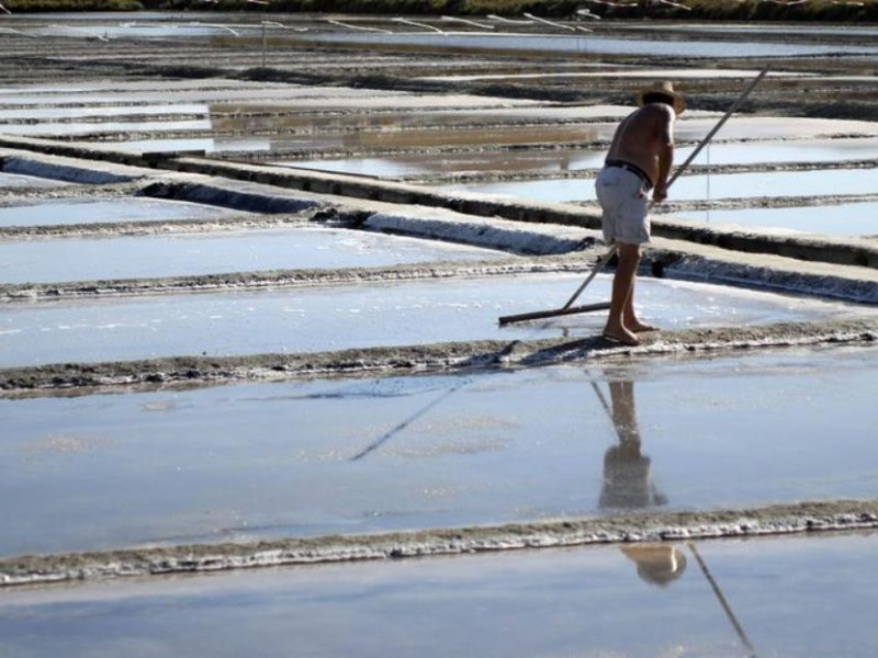 Cervia, MUSA - Museo del Sale Cervia, MUSA - Museo del Sale
