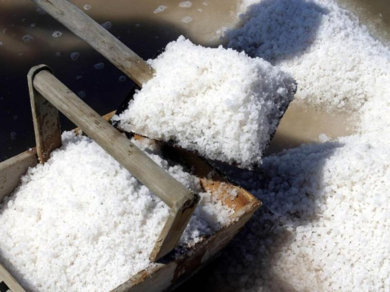 Cervia, MUSA - Museo del Sale Cervia, MUSA - Museo del Sale