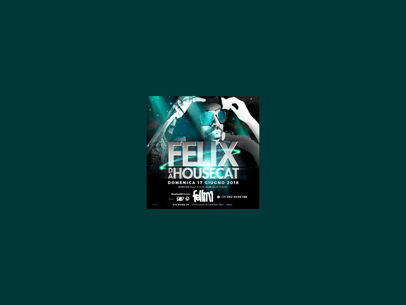 Felix da House Cat Felix da House Cat