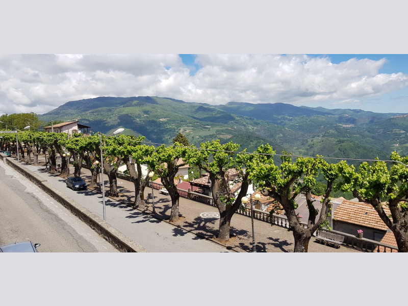 Viale dei Tigli Viale dei Tigli