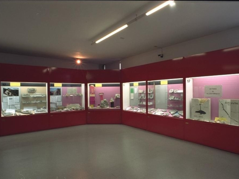 Faenza, Museo Civico di Scienze Naturali