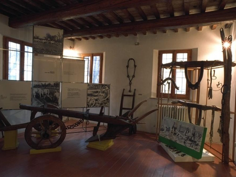 Massa Lombarda, Museo della Frutticoltura Adolfo Bonvicini Massa Lombarda, Museo della Frutticoltura Adolfo Bonvicini