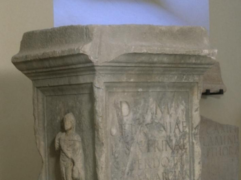 Museo Archeologico Sarsinate  Museo Archeologico Sarsinate