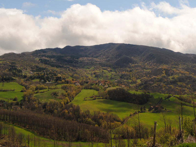 Immagine descrittiva - CC BY-SA Di Rodrigotebani - Opera propria, CC BY-SA 3.0, https://commons.wikimedia.org/w/index.php?curid=19537887 Immagine descrittiva - CC BY-SA Di Rodrigotebani - Opera propria, CC BY-SA 3.0, https://commons.wikimedia.org/w/index.php?curid=19537887