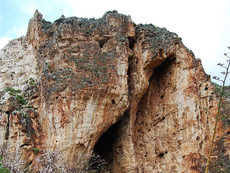 Immagine descrittiva - CC BY-SA Di tato grasso - Opera propria (personal work), CC BY-SA 3.0, https://commons.wikimedia.org/w/index.php?curid=6041054 Immagine descrittiva - CC BY-SA Di tato grasso - Opera propria (personal work), CC BY-SA 3.0, https://commons.wikimedia.org/w/index.php?curid=6041054