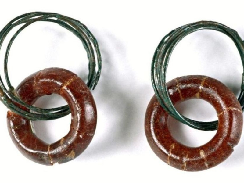 Borghi, Museo e Biblioteca "F.Renzi"