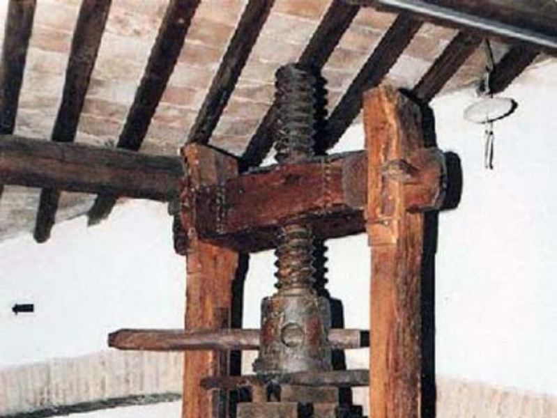 Castrocaro Terme e Terra del Sole, Museo dell'Uomo e dell'Ambiente